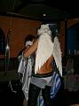 wellness night shows_0000021
